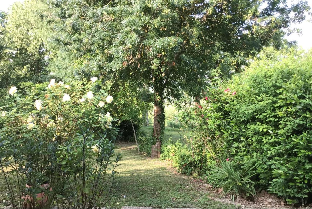 Le Gite De Gascogne Lectoure Eksteriør billede